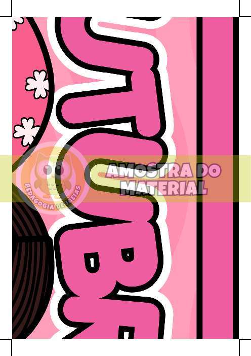 Amostra do PDF - pagina 4