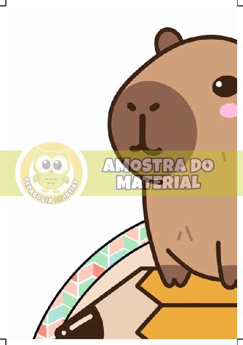 Amostra do PDF - pagina 4
