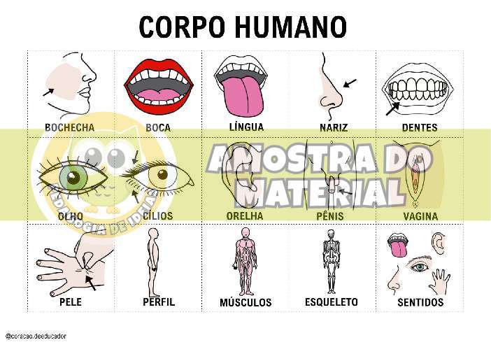 Amostra do PDF - pagina 100