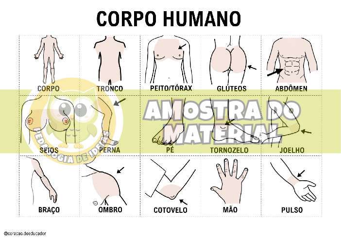 Amostra do PDF - pagina 98