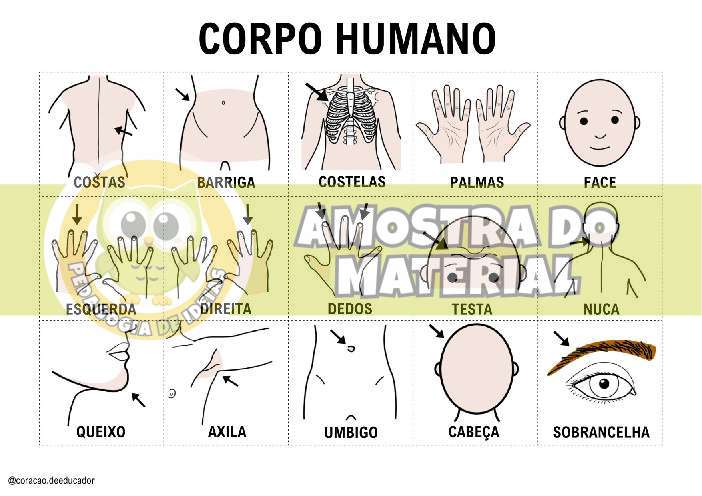 Amostra do PDF - pagina 99